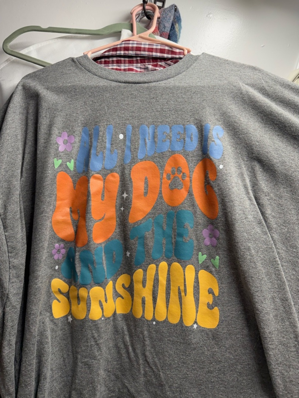 Graphic shirt - "All I Need Is My Dog and the Sunshine" - Grey